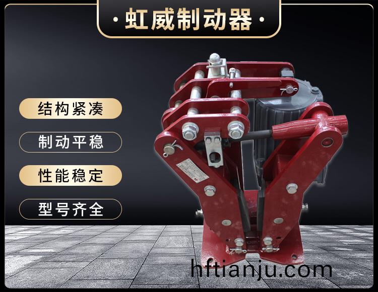 YPZ2-IV-V-VI型電力液壓盤式(shi)製動器