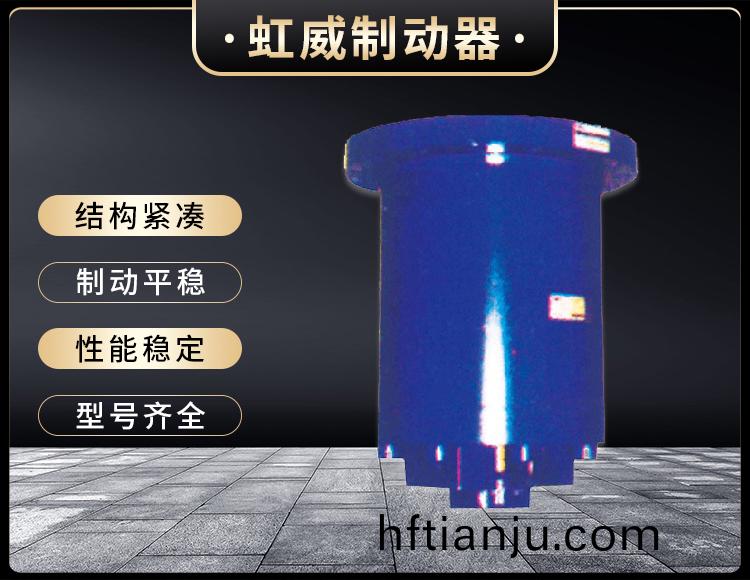 YDGZ(直動式)液壓(ya)頂軌製動(dong)器
